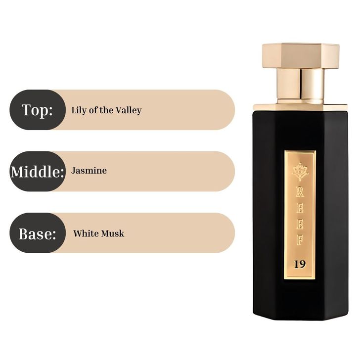 Reef 19 Eau de Parfum 100ML (3.38 OZ) | Fresh, Clean & Elegant Fragrance